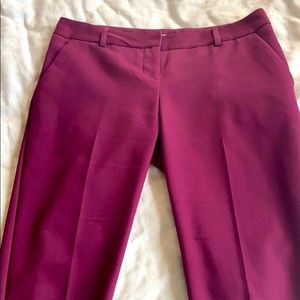 Express Columnist Merlot Pants